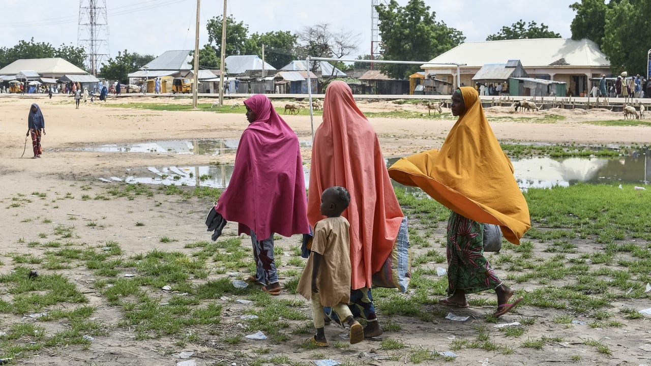 Nigeria : une attaque djihadiste fait plus de 80 morts dans l&rsquo;État de Yobe