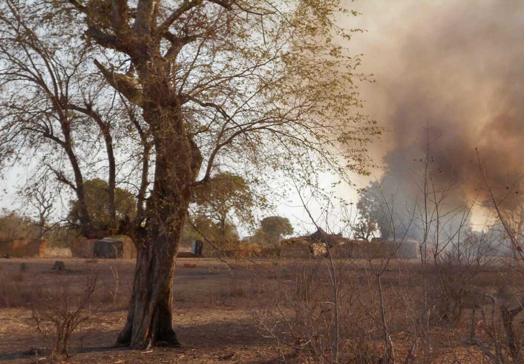 Guerre de territoire dans la forêt de Sambisa : le duel entre factions rivales