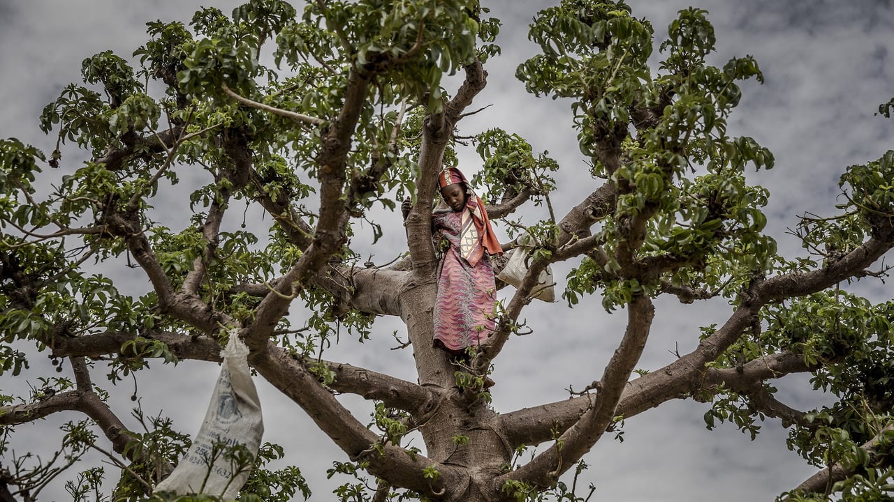 Crise économique au Niger : l&rsquo;urgence d&rsquo;une génération sous pression