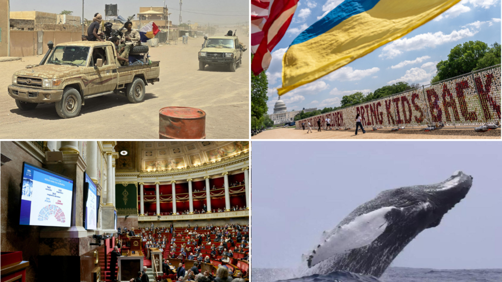 photomontage illustrant les enjeux sécuritaires au Mali