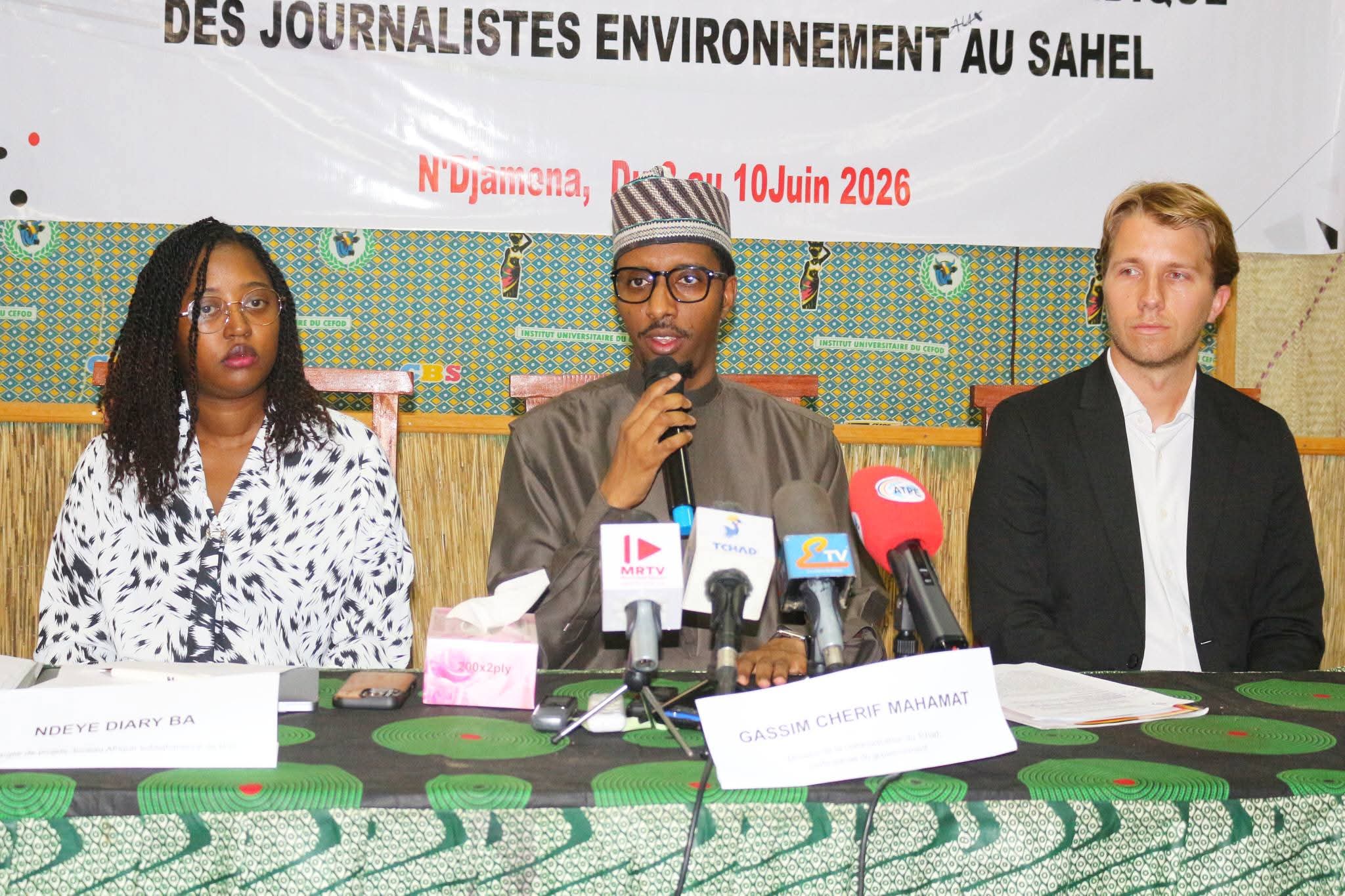 Atelier à N&rsquo;Djamena pour sécuriser les journalistes environnementaux au Sahel