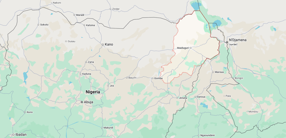 Libération de 400 otages par boko haram dans le borno : le soulagement au Nigeria