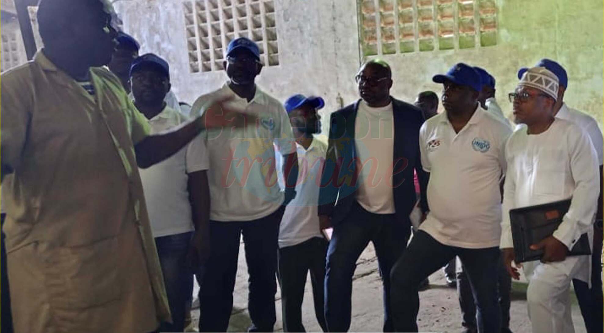 Cameroun : 35 experts formés pour garantir la qualité du cacao exporté