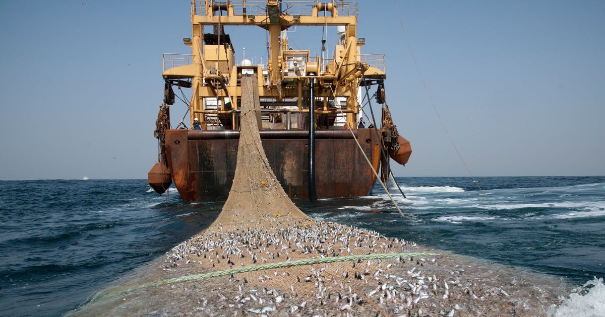 Gabon : l&rsquo;Union européenne prête à négocier après la fin de l&rsquo;accord de pêche