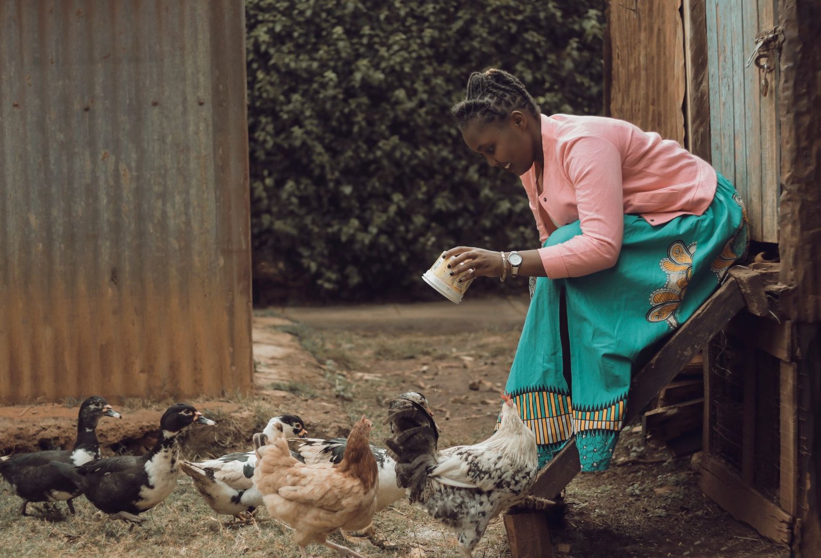 SONOCO ambitionne une révolution dans l&rsquo;aviculture gabonaise