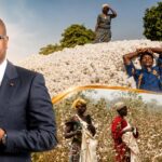 Au Bénin, une prime cotonnière conditionnée à la performance collective