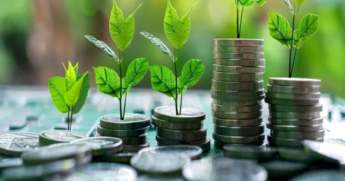 Maroc : une taxonomie verte pour booster la finance durable