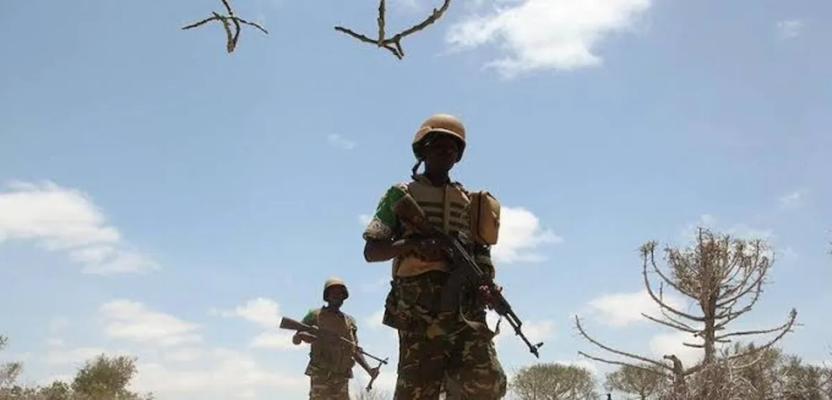 Frappes aériennes au Mali : bilan humain et accusations contre l'Africa Corps