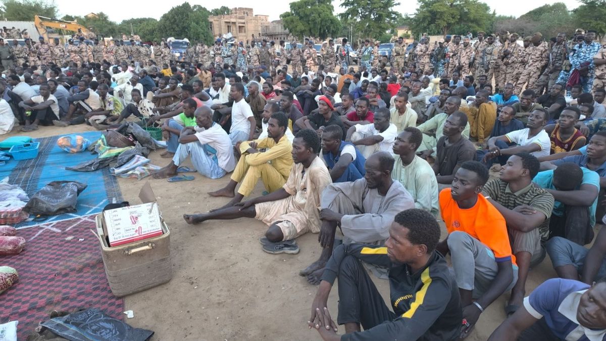 Coup de filet majeur à N’Djamena : 252 individus interpellés dans une opération anti-criminalité