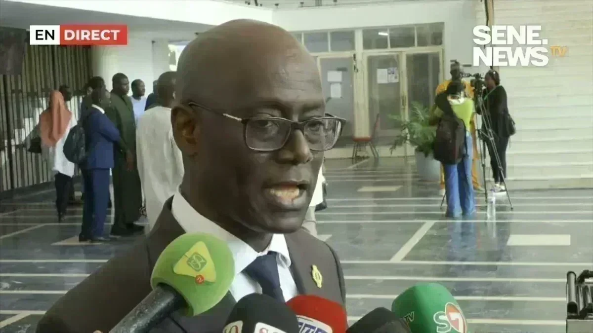 Thierno Alassane Sall lors de son intervention à l'Assemblée nationale