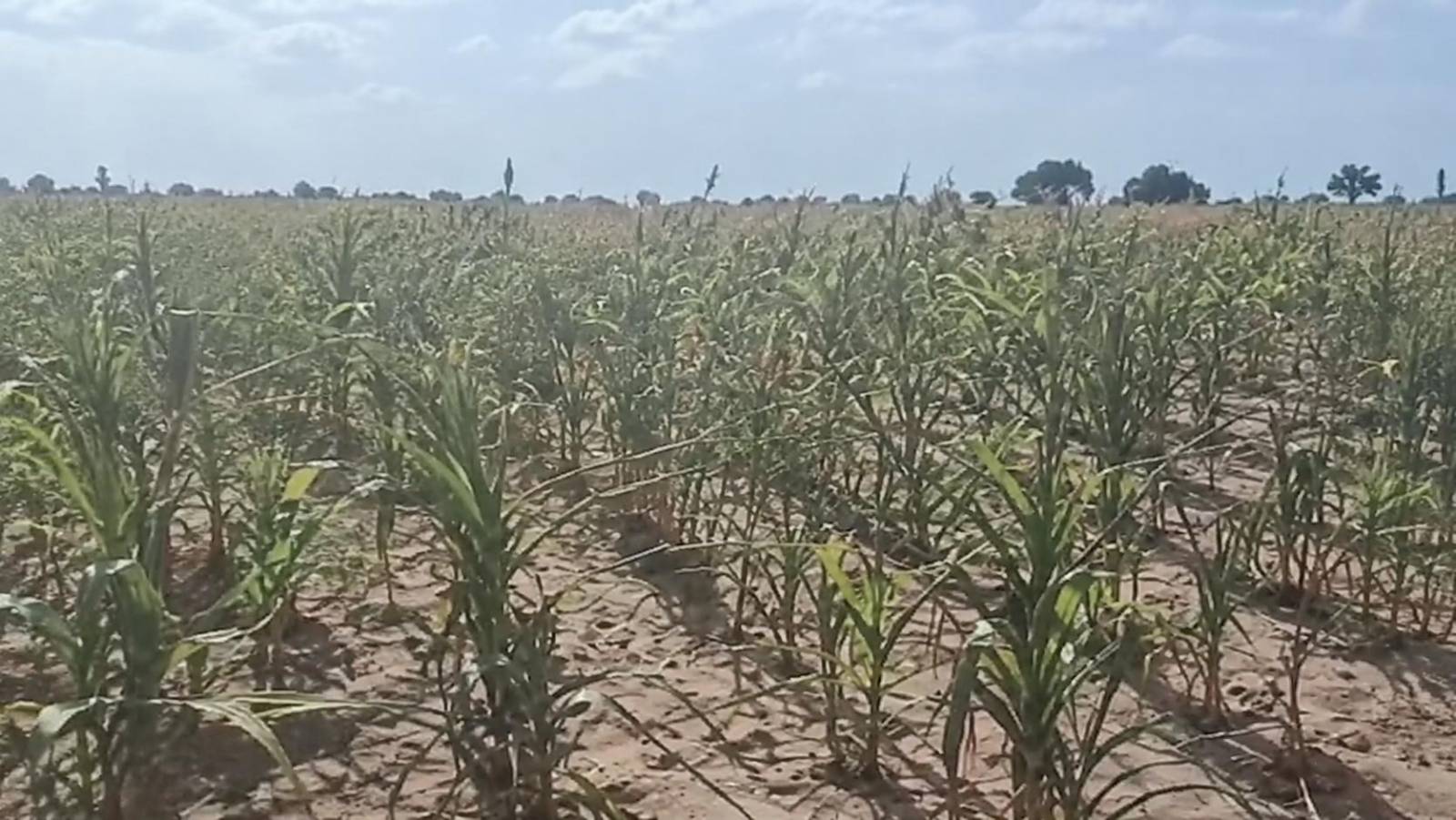 Burkina Faso : à Tougan, le jour où la souveraineté a basculé dans l&rsquo;impasse