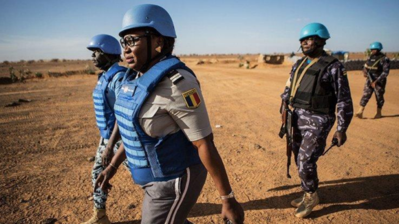 54 morts à Tagadayat : quand l&rsquo;insécurité au Mali atteint un seuil critique