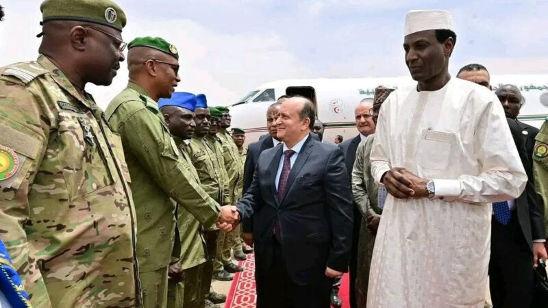Câble transsaharien Algérie-Niger : ce que sa mise en service annonce pour l&rsquo;avenir du Sahel