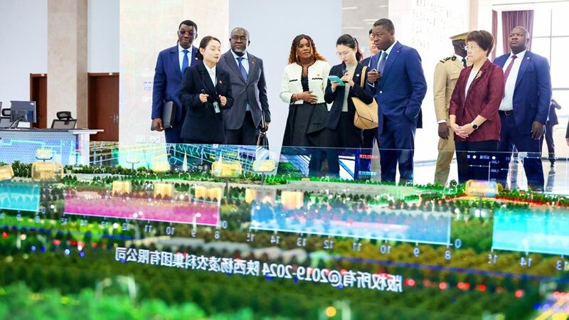 Après le Shaanxi, le Togo dessine les contours d&rsquo;un partenariat agricole durable avec la Chine