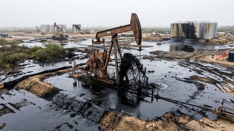 Crise pétrolière au Niger : Alger bouclier contre la marée noire du puits goumeri w-8 ?