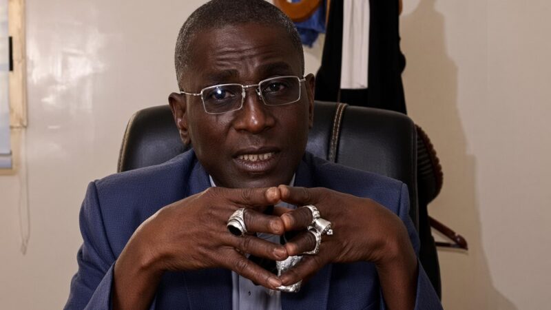 Au Niger, cinq ans requis contre me Lirwana : après les réquisitions, les réactions et les suites d&rsquo;un dossier sous haute tension