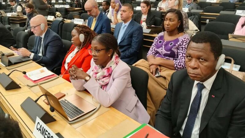 Réfugiés : après Genève, les perspectives s&rsquo;ouvrent pour le Cameroun