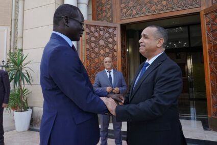 Décryptage : pourquoi Sonelgaz mise sur le Sénégal après le Mali et le Niger